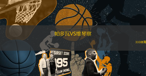 帕多瓦VS维琴察